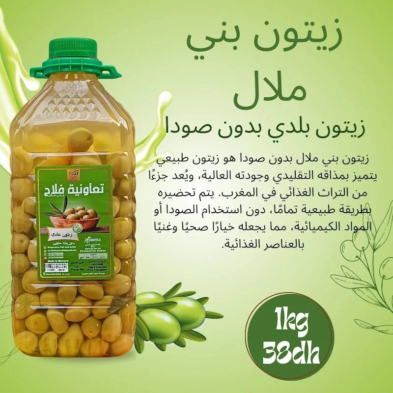Olives de Béni Mellal sans soude 1kg