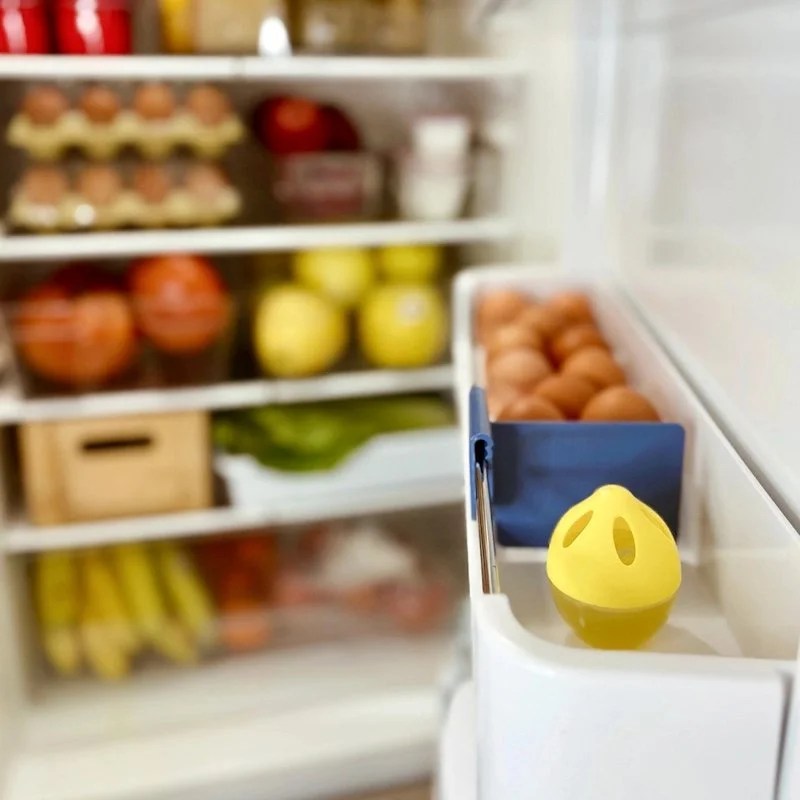 Absorbeur d’Odeurs pour Refrigerateur – 30g