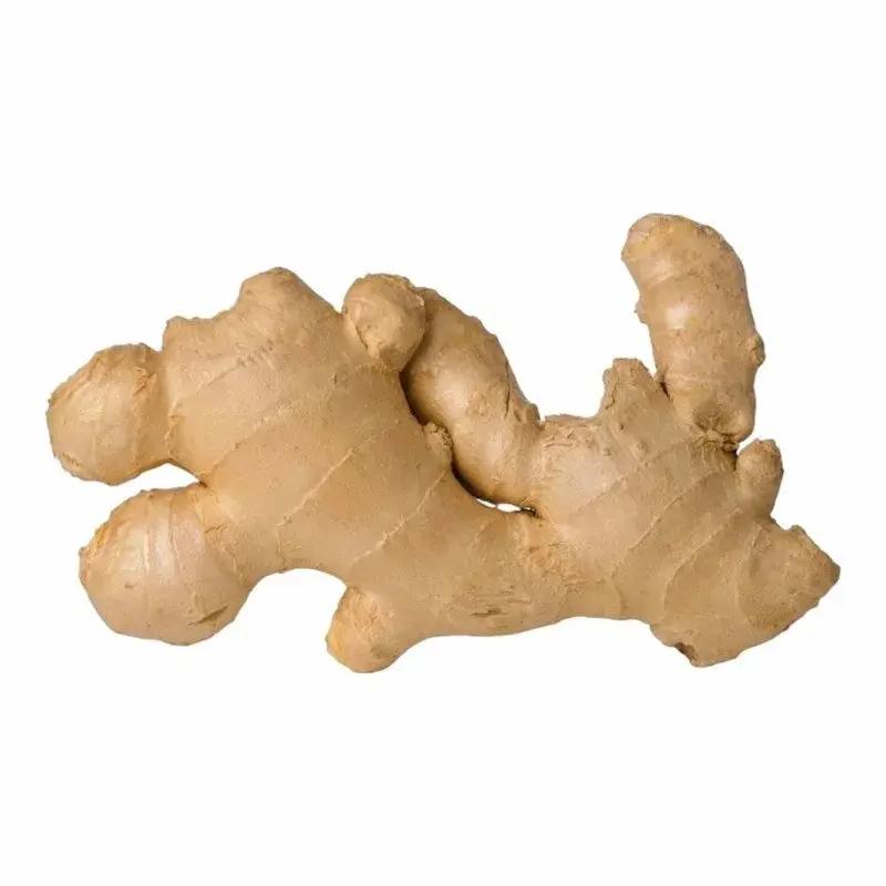 Gingembre Entier Frais 200g – Epice Naturelle My Store