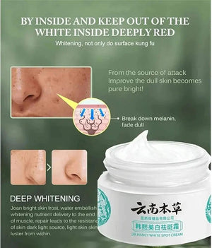 Dr Hancy White Spot Japan Cream – 20 g My Store