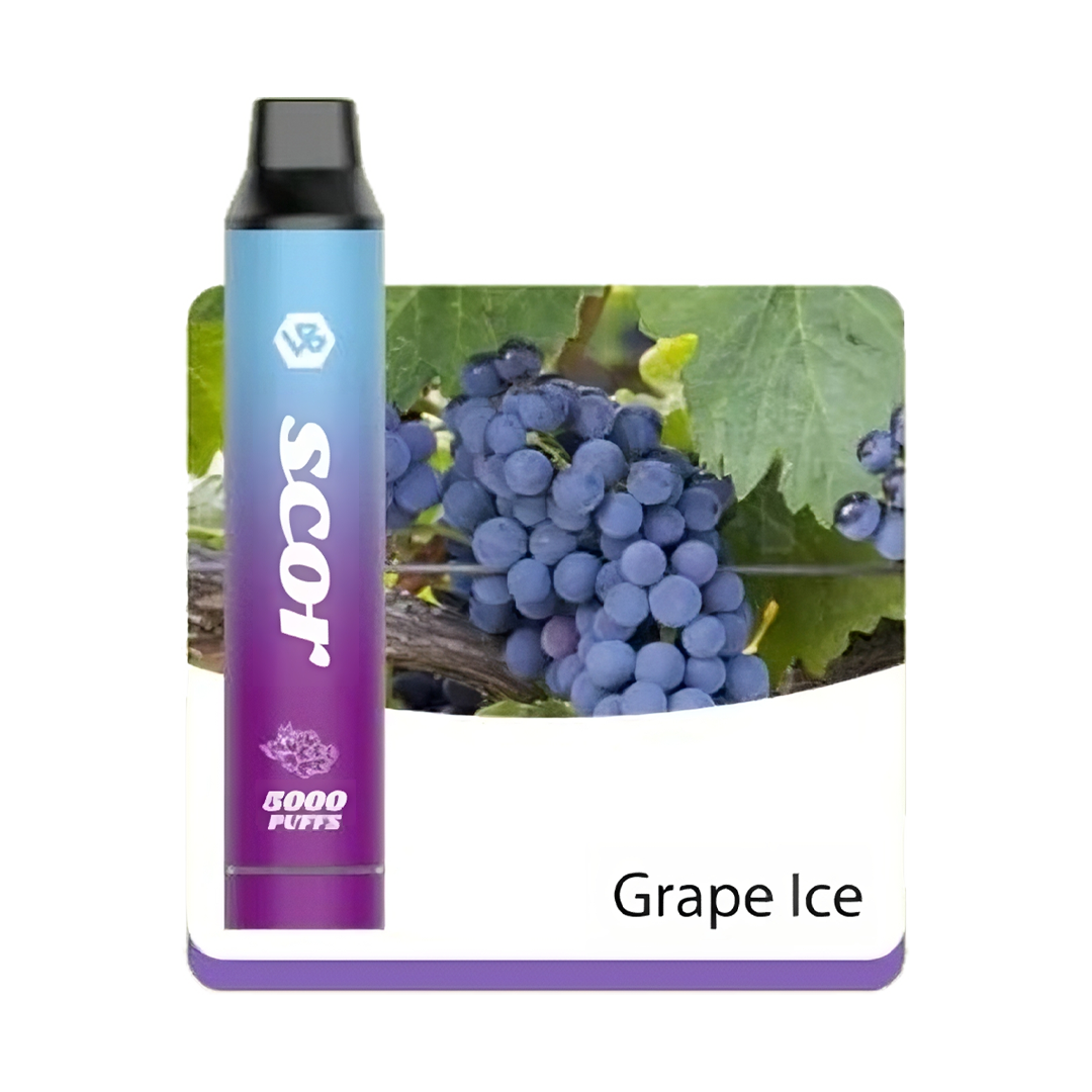 VOOKBAR SCOR - Grape Ice - 5000 Taffs 5%