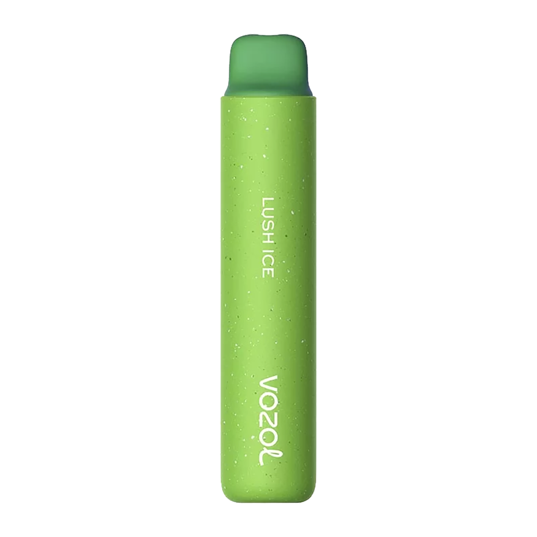 VOZOL Star 2500 Puffs  - Watermelon ice - 5%