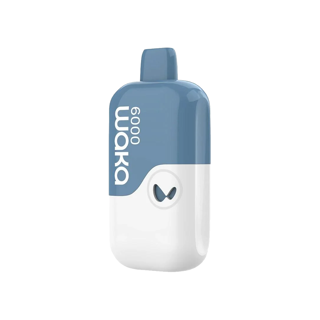 WAKA SoMatch MB 6000 Puffs - Fresh Mint Pod Kit