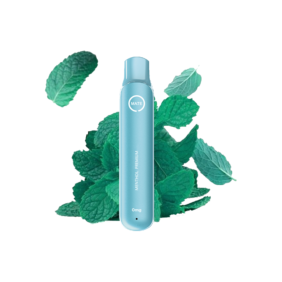 Flawoor 600puffs Menthol premium