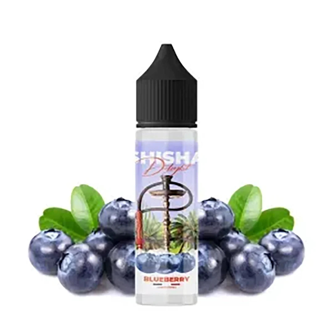 Shisha Delight - Blueberry 60ml