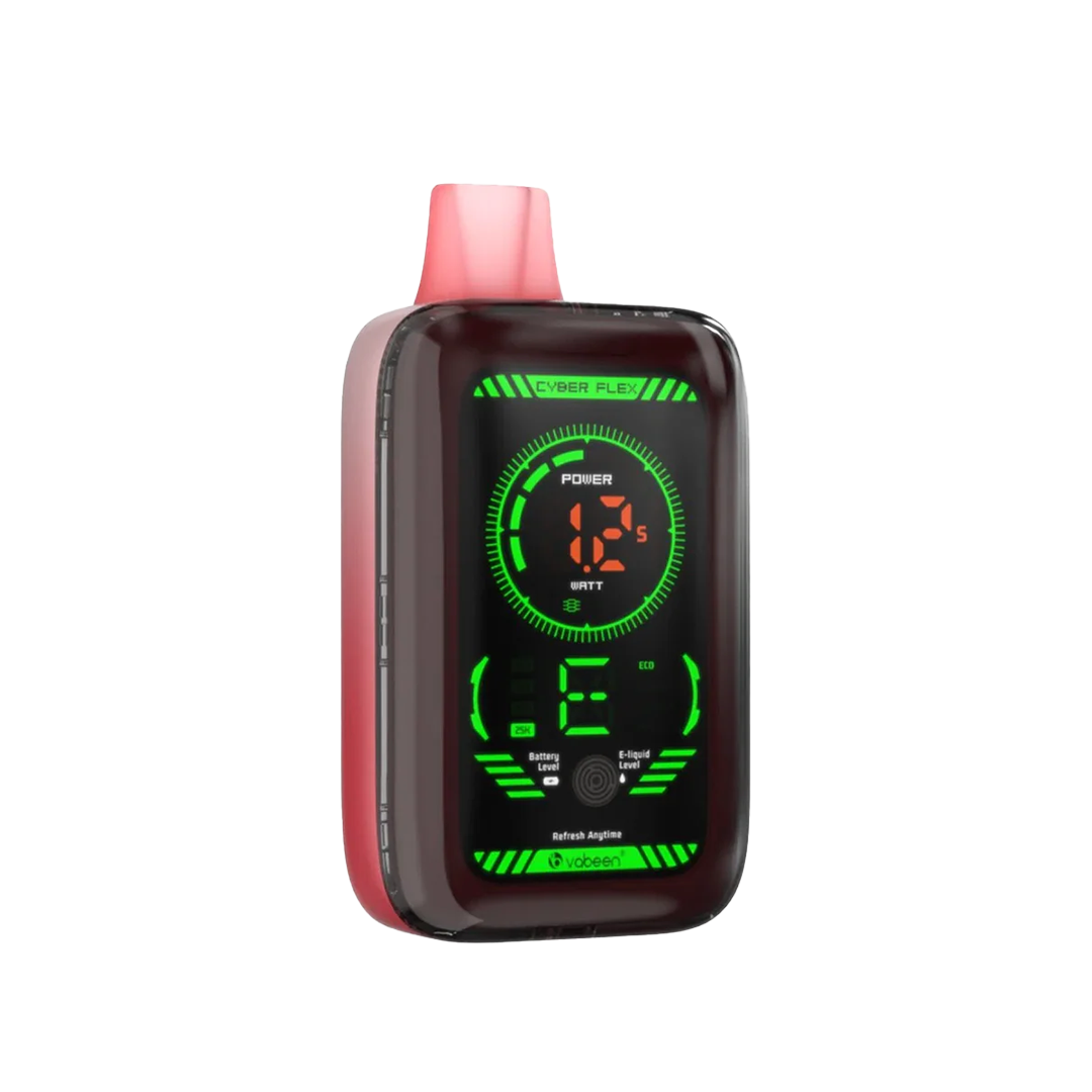 VABEEN Cyber Flex 25k - Lush Ice - 5%